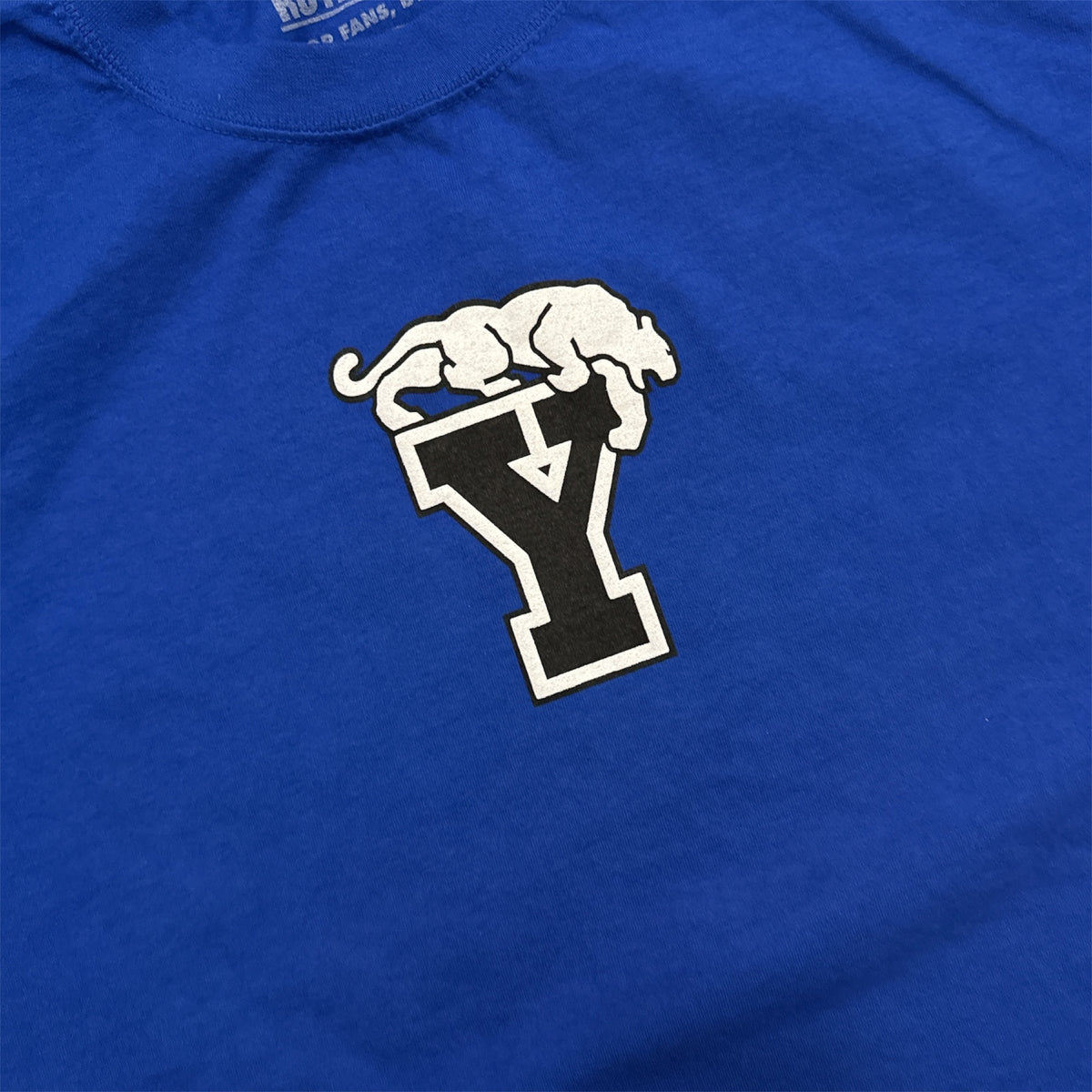 Rise and Shout Heavyweight BYU T-Shirt